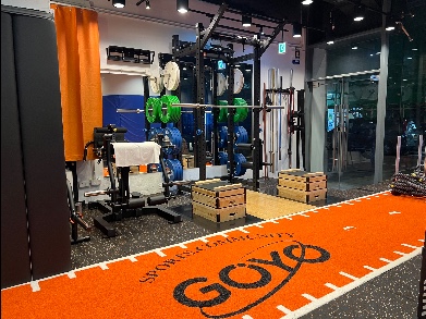 Lifting stage 
